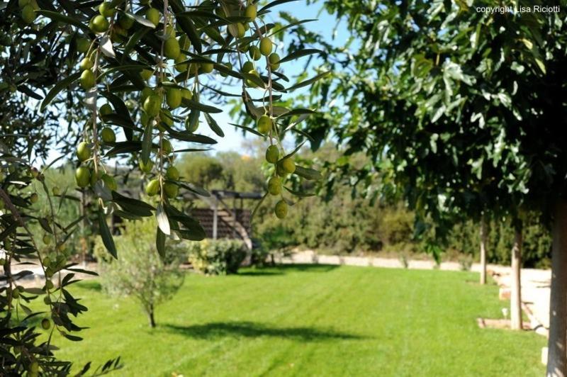 Les Hotes De La Combe Mouis Creissan Esterno foto