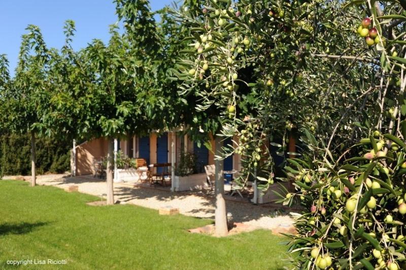 Les Hotes De La Combe Mouis Creissan Esterno foto